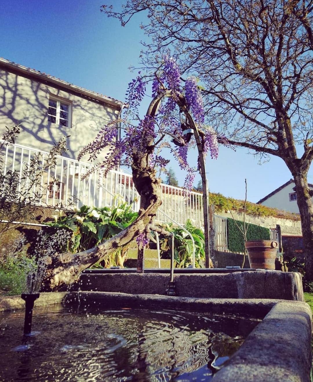 A Casa Da Parrula Leilighet Santiago de Compostela Eksteriør bilde